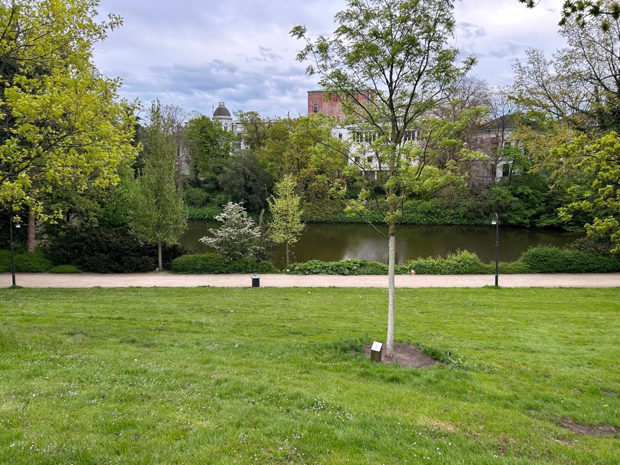 Homey Apartments - Riverside - Mit Weserblick Und Parkplatz Bremen Ngoại thất bức ảnh